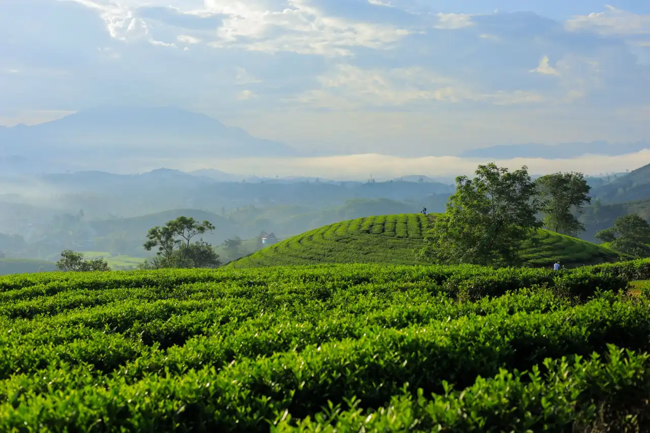 饮料与预包装食品的仓储保鲜技术要点解析